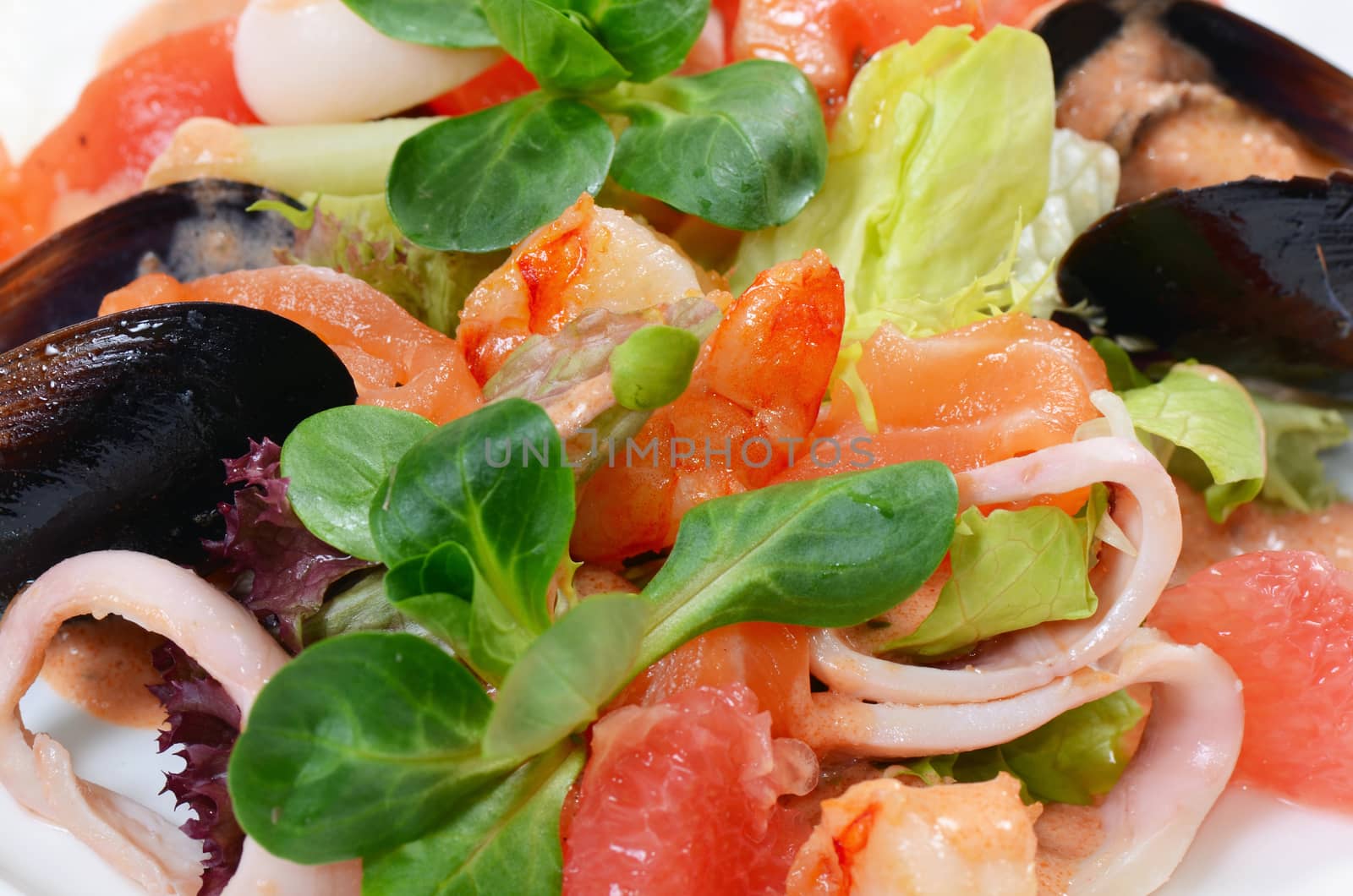 Salad from seafood and a salmon close-up