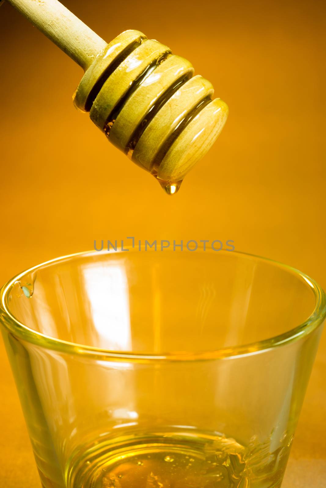 Honey Dripper Sweet Food Spreader Bee Sweet Food by ChrisBoswell