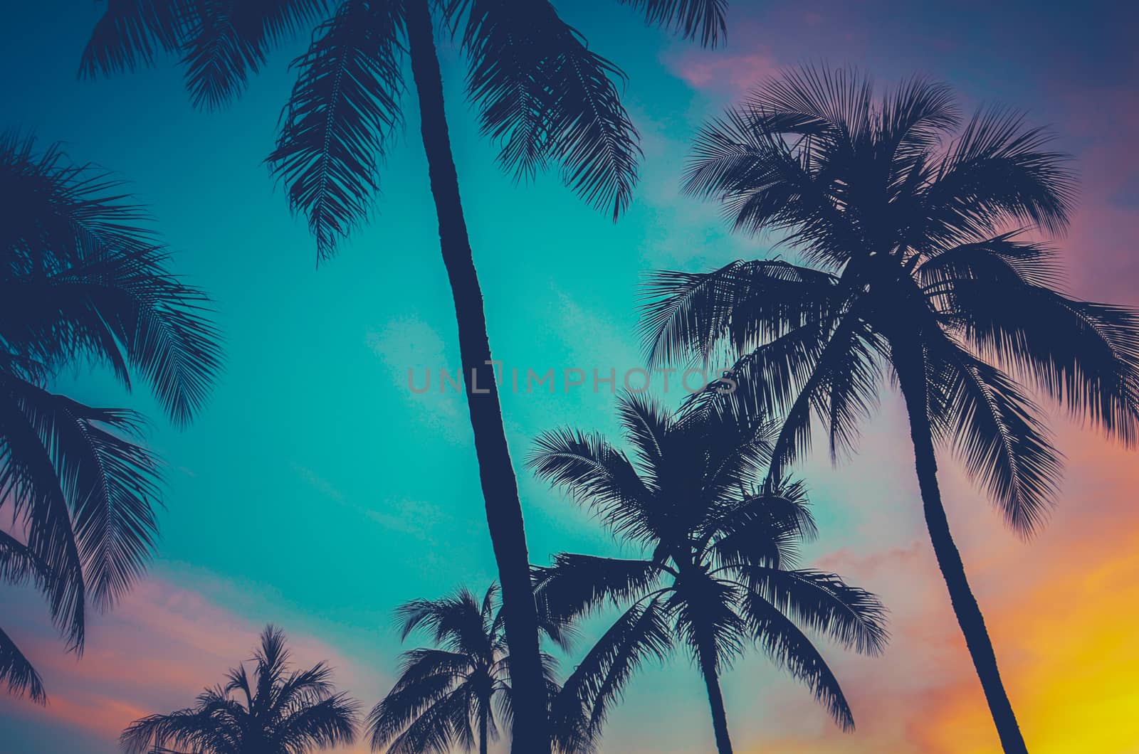 Vintage Retro Filtered Hawaii Palm Trees At Sunset