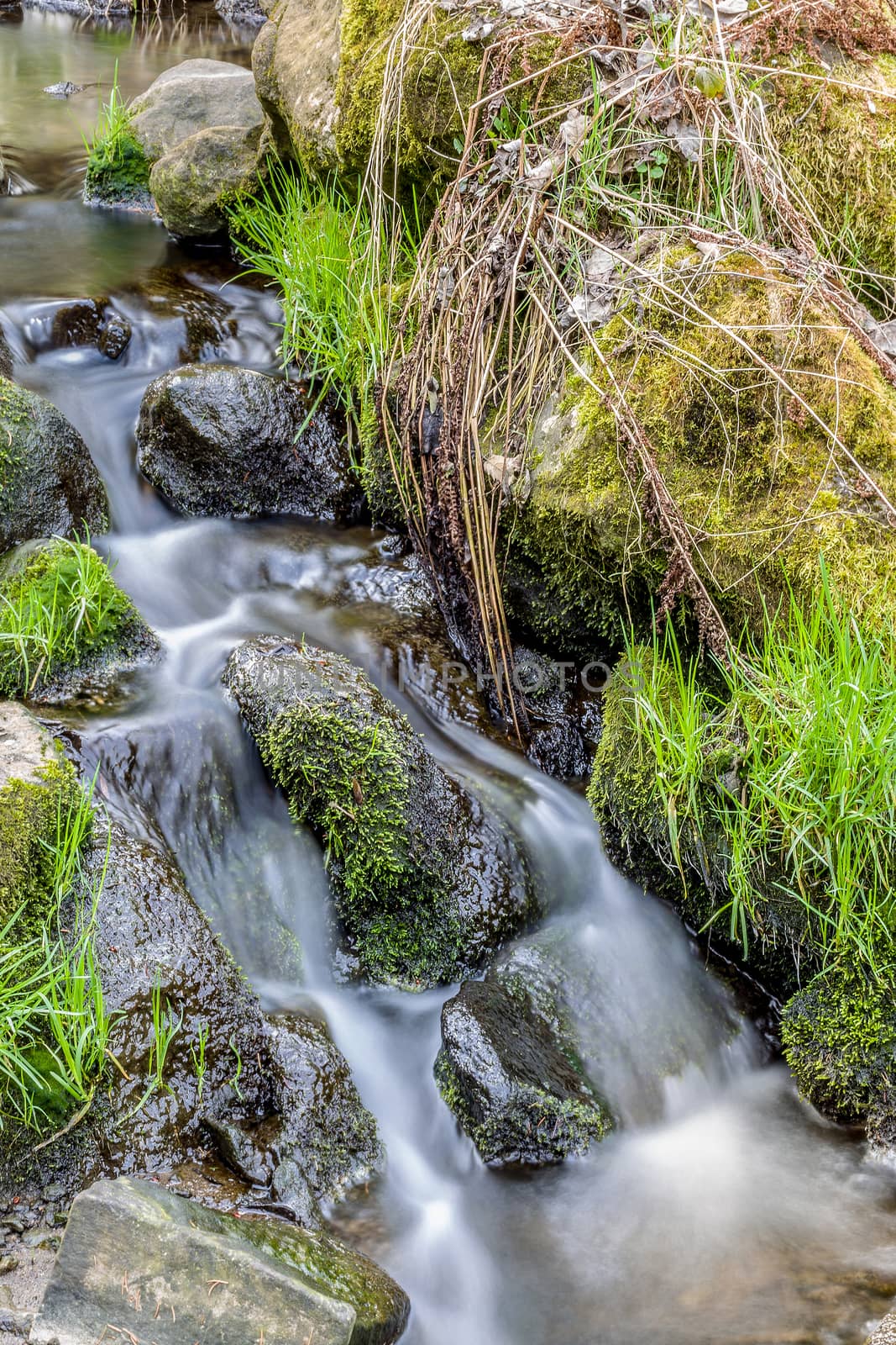 Falls on the small mountain river in a wood in spring
