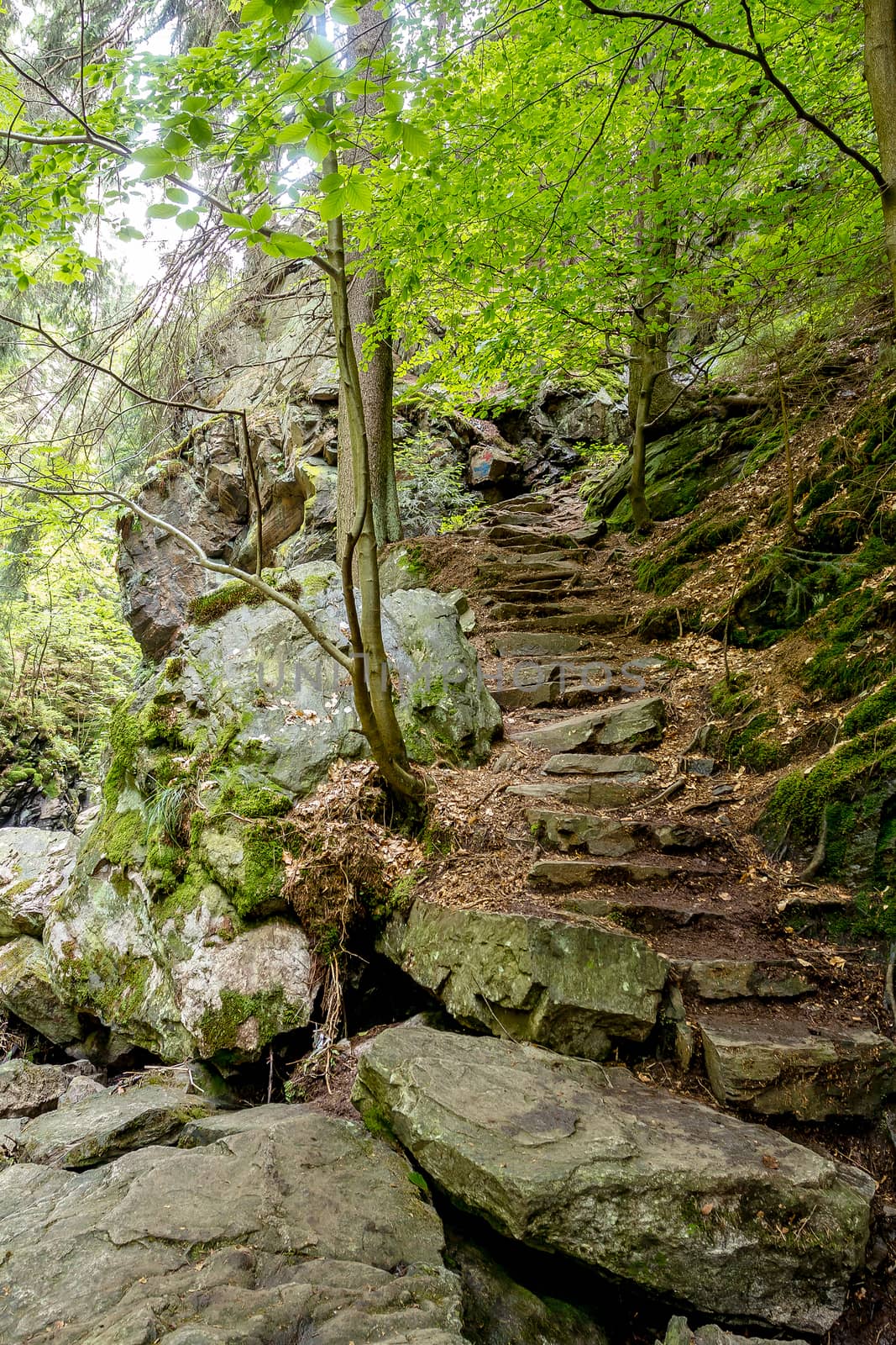 Stone staircase leading up a walkway through the Doubrava valley, Czech Republic