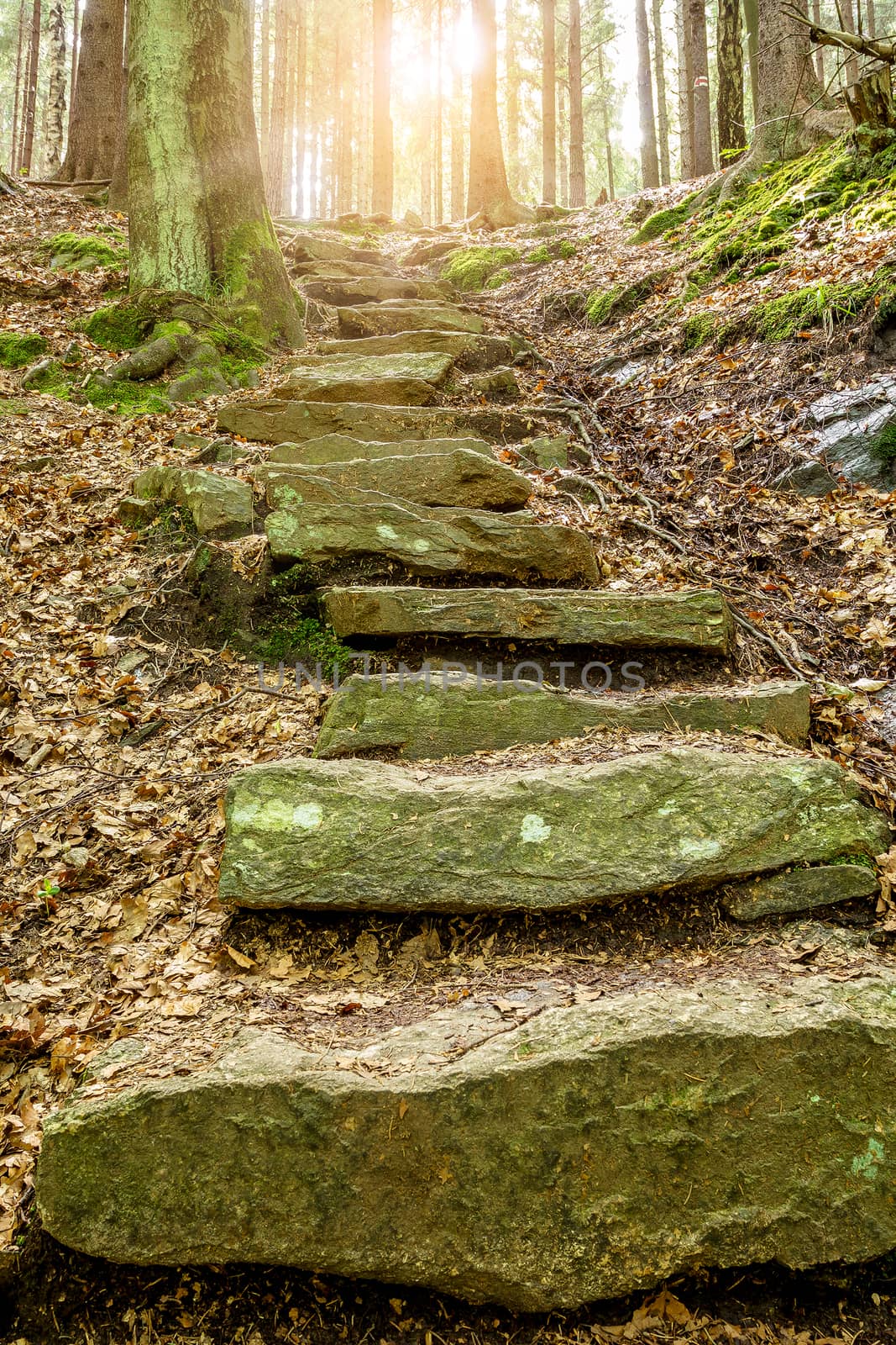 Stone staircase leading up a walkway through the Doubrava valley, Czech Republic with sun light at up