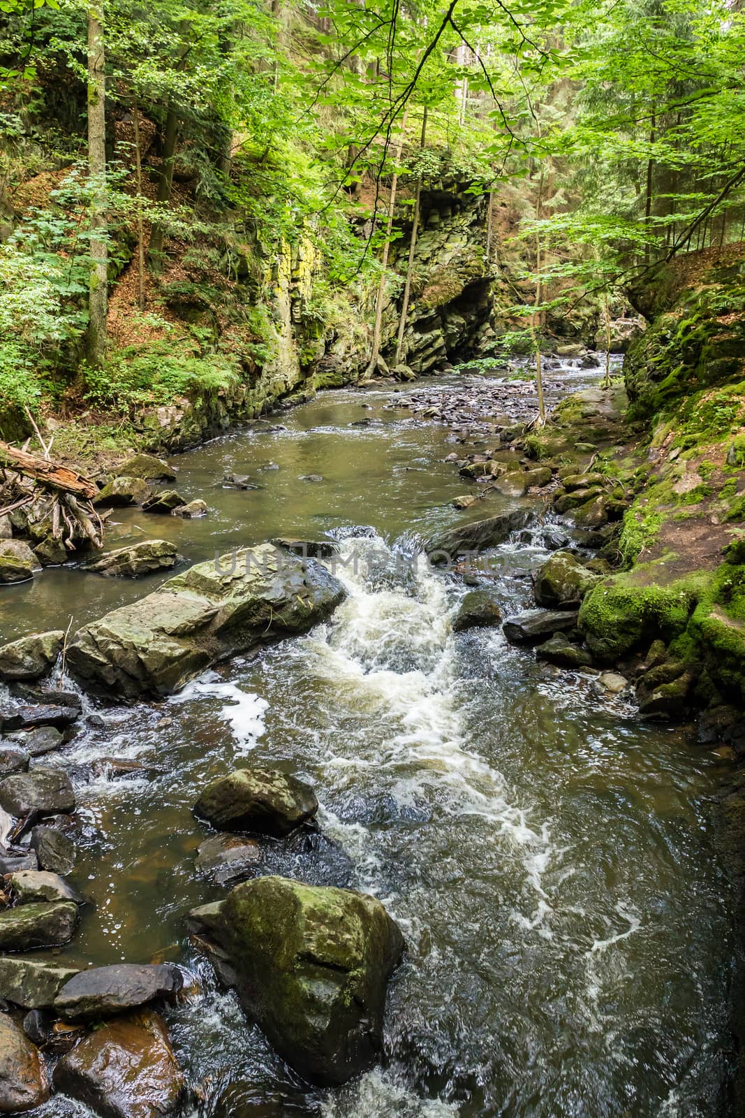 small czech mountain creek Doubrava in Czech Republic