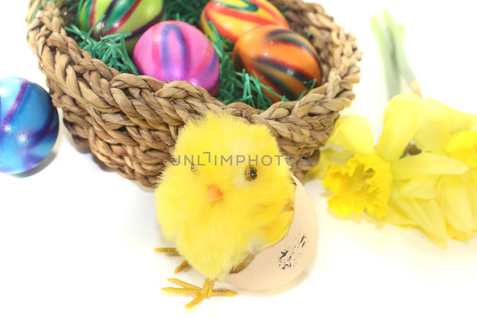 Easter Basket with chick and colorful eggs on a light background