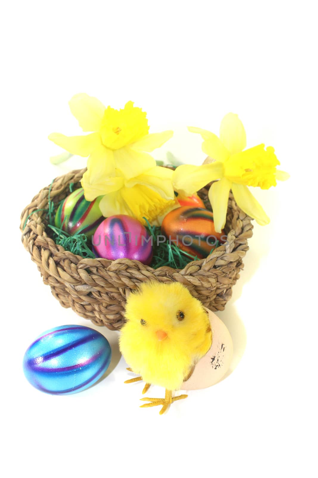 Easter Basket with chick, daffodils and colorful eggs on a light background