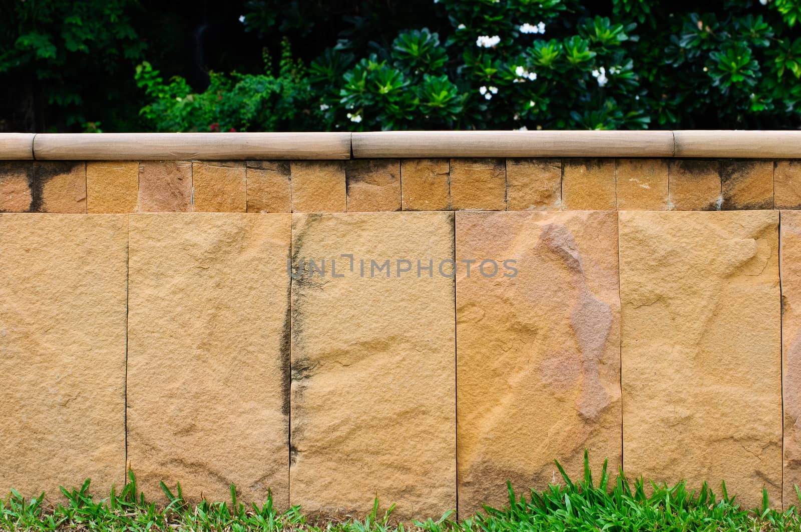 Green grass and background as a rock