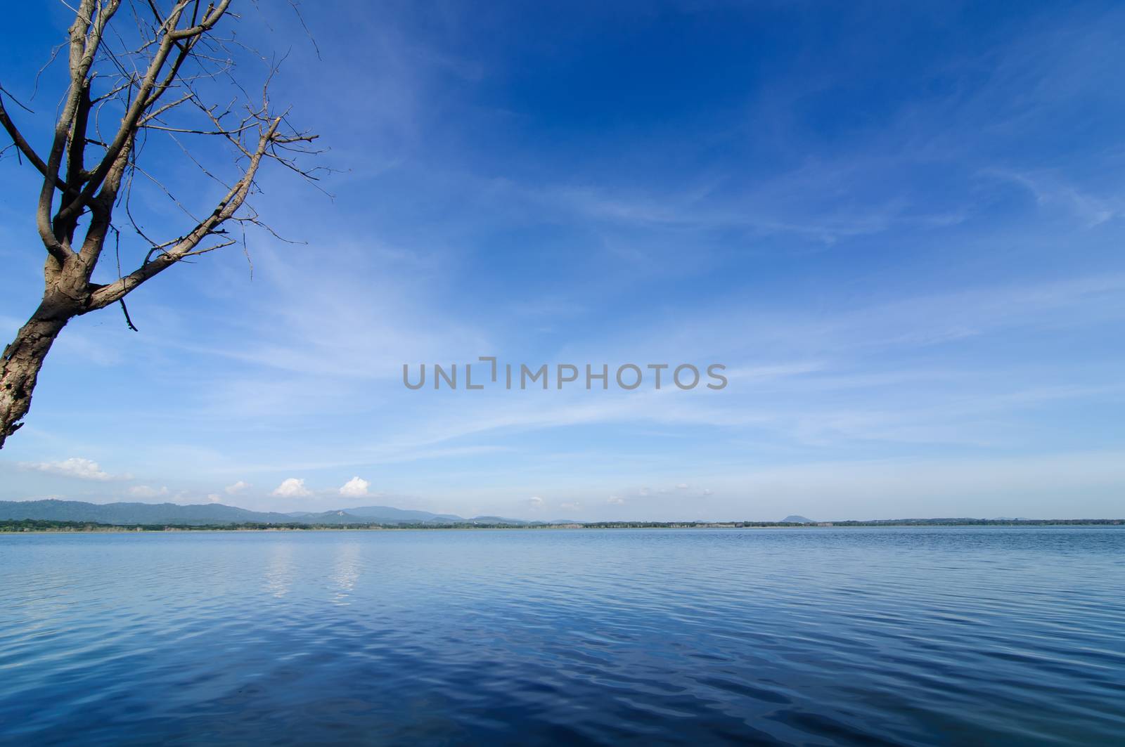 Reservoir in the bang phra, Chonburi Thailand.
