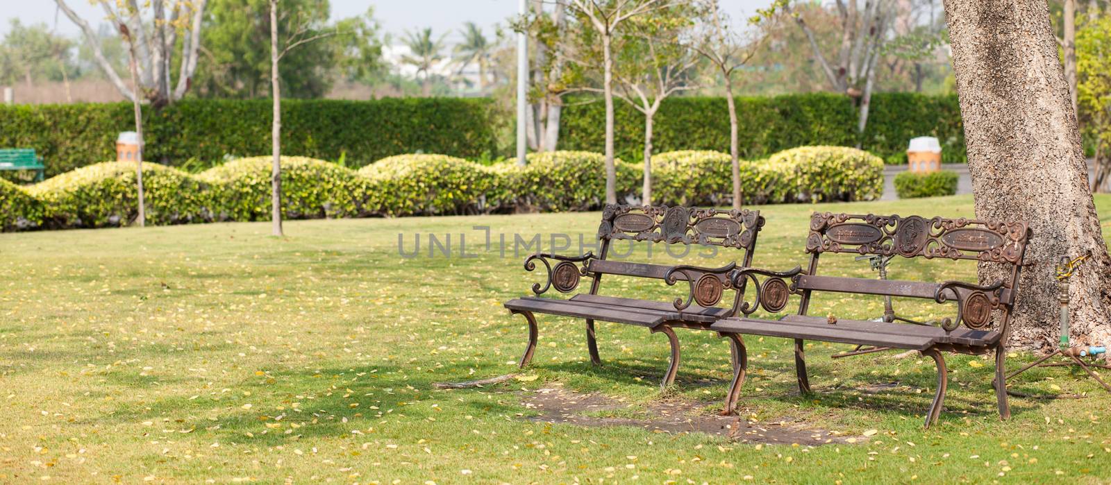 Benches on the lawn Under the big tree in the park.