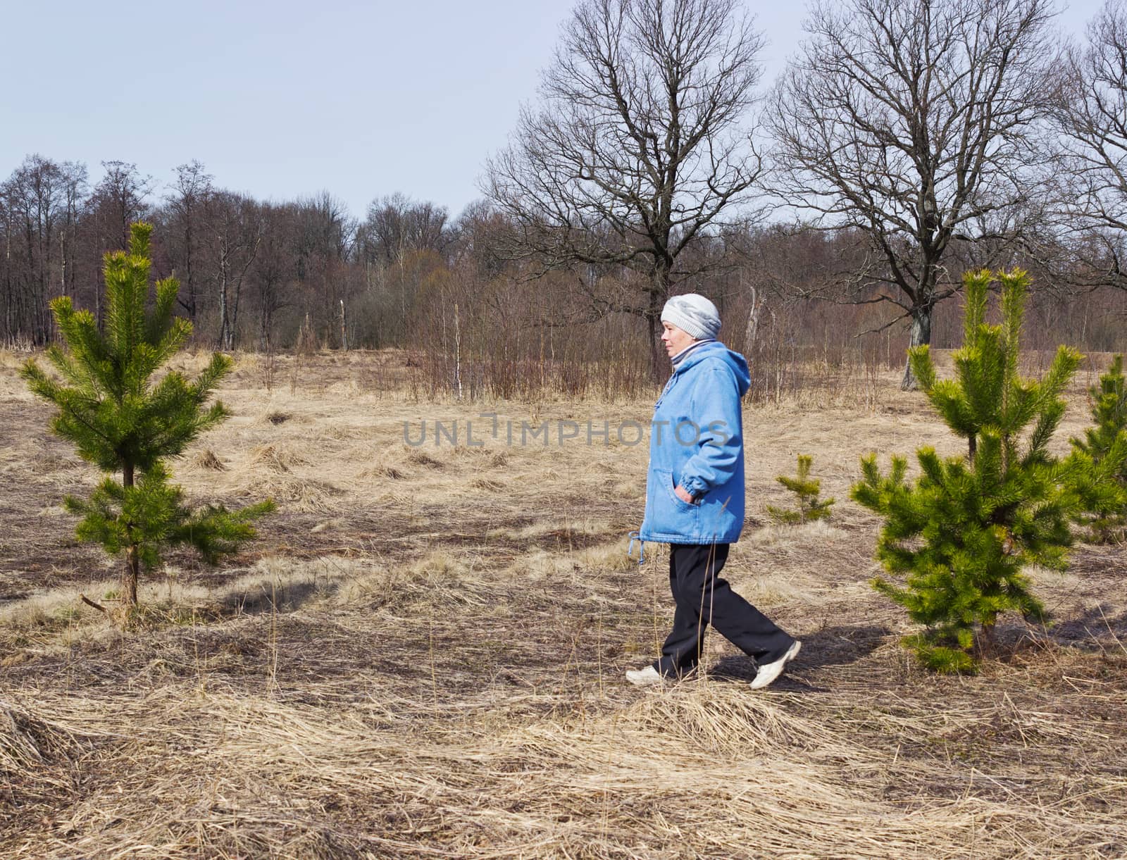 One elderly woman on a walk in the woods in spring