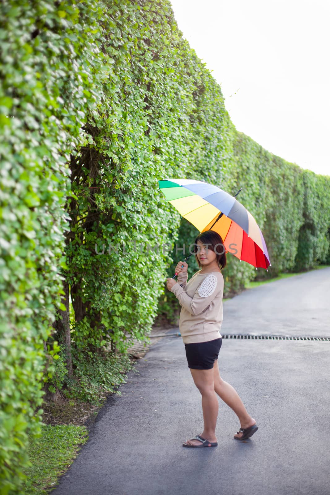 Asian woman holding an umbrella on the sidewalk. The Park