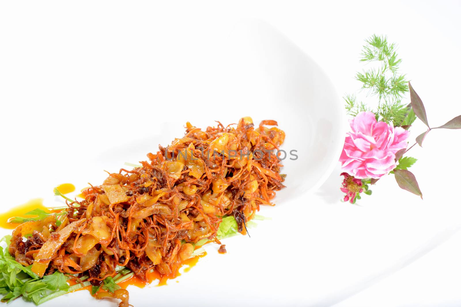 Chinese Food: Salad made of mushroom on a white plate