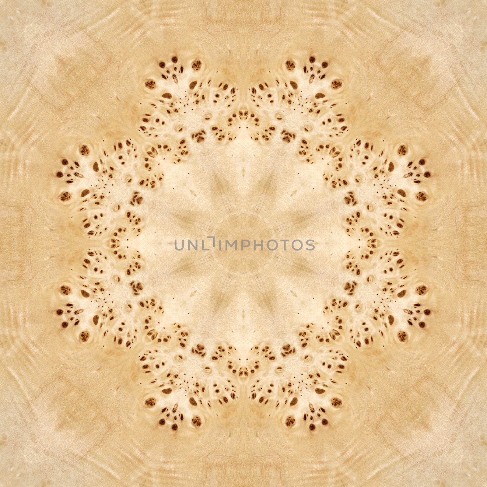 Seamless background, abstract pattern, wooden veneer poplar root