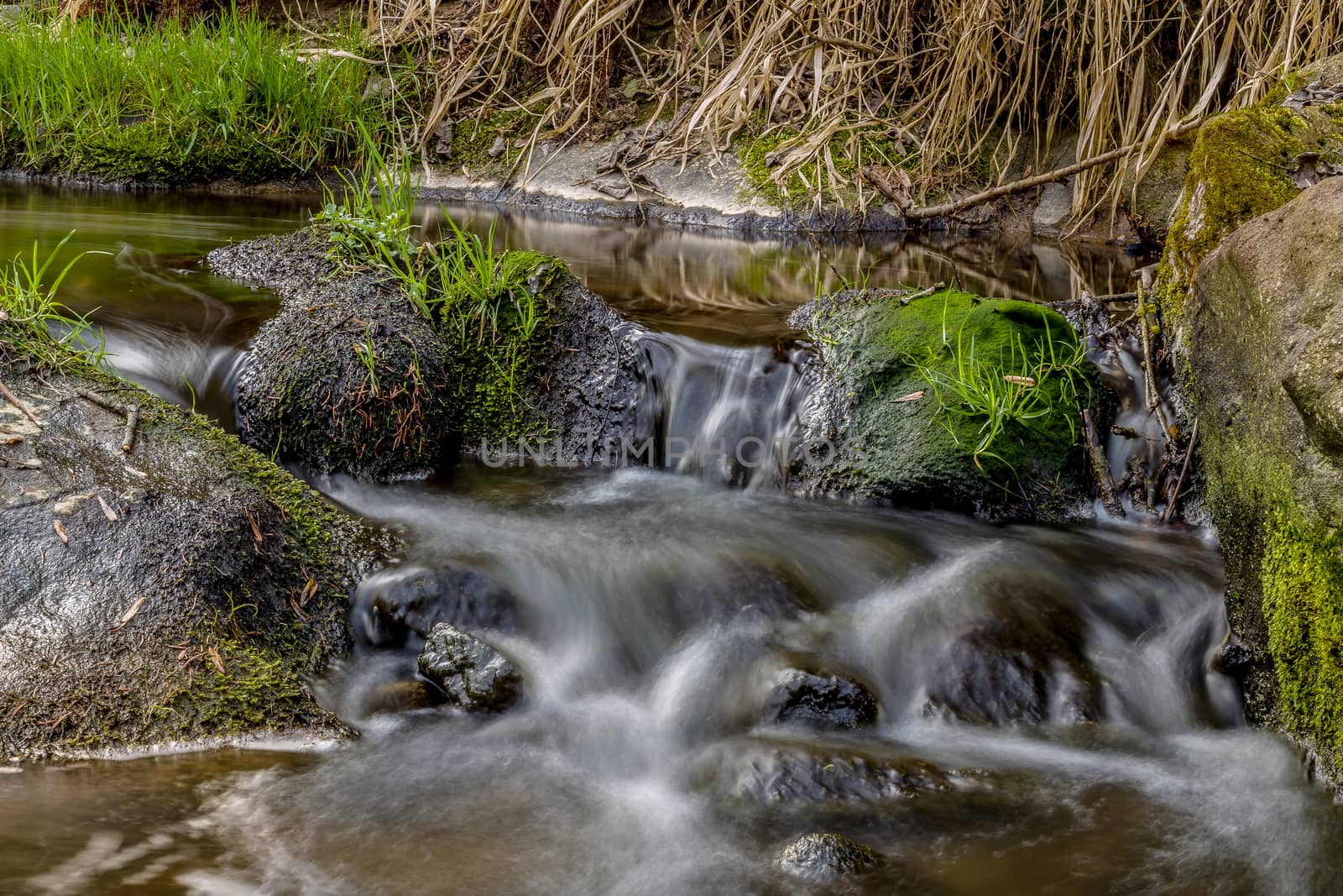 Falls on the small mountain river in a wood in spring
