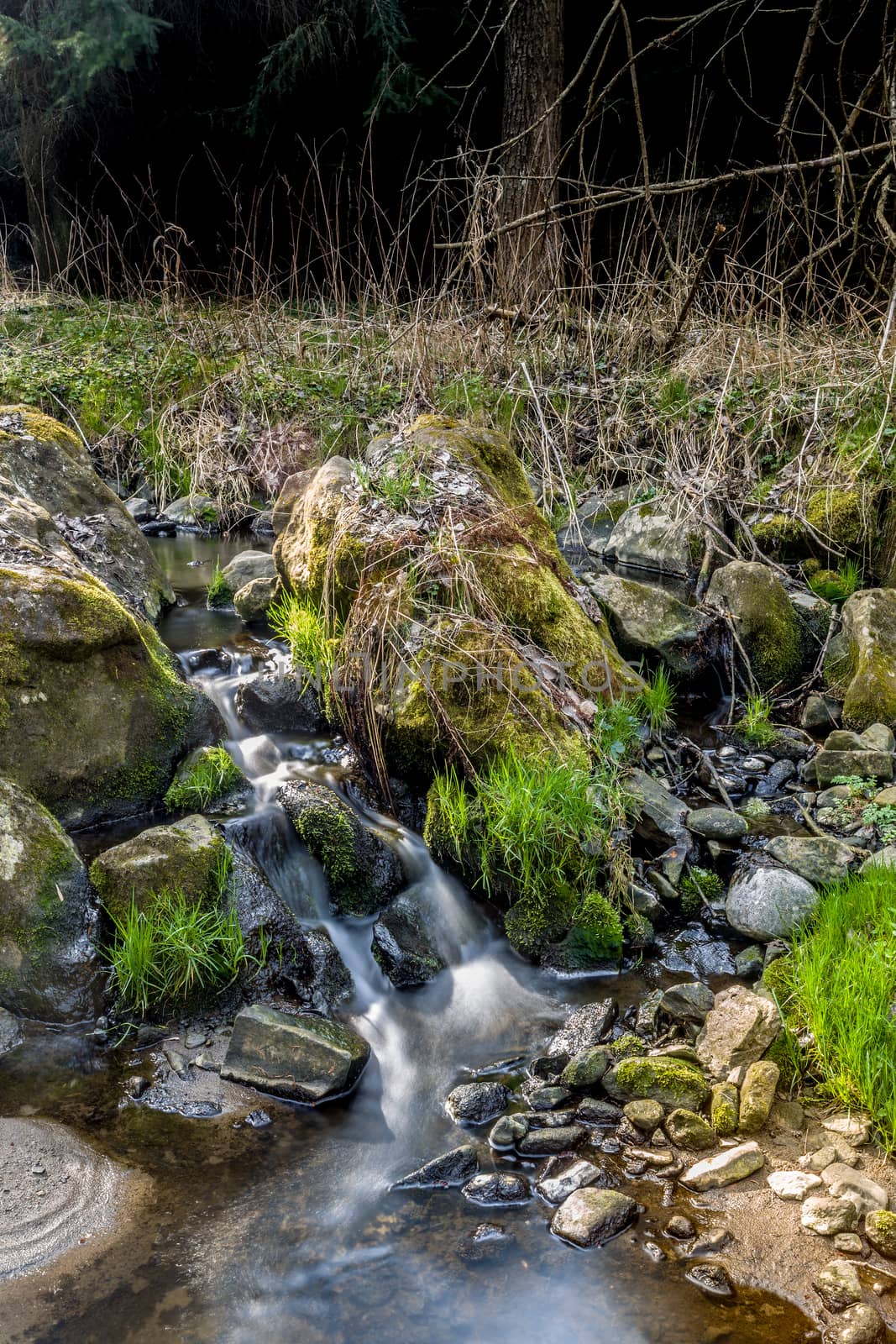 Falls on the small mountain river in a wood in spring