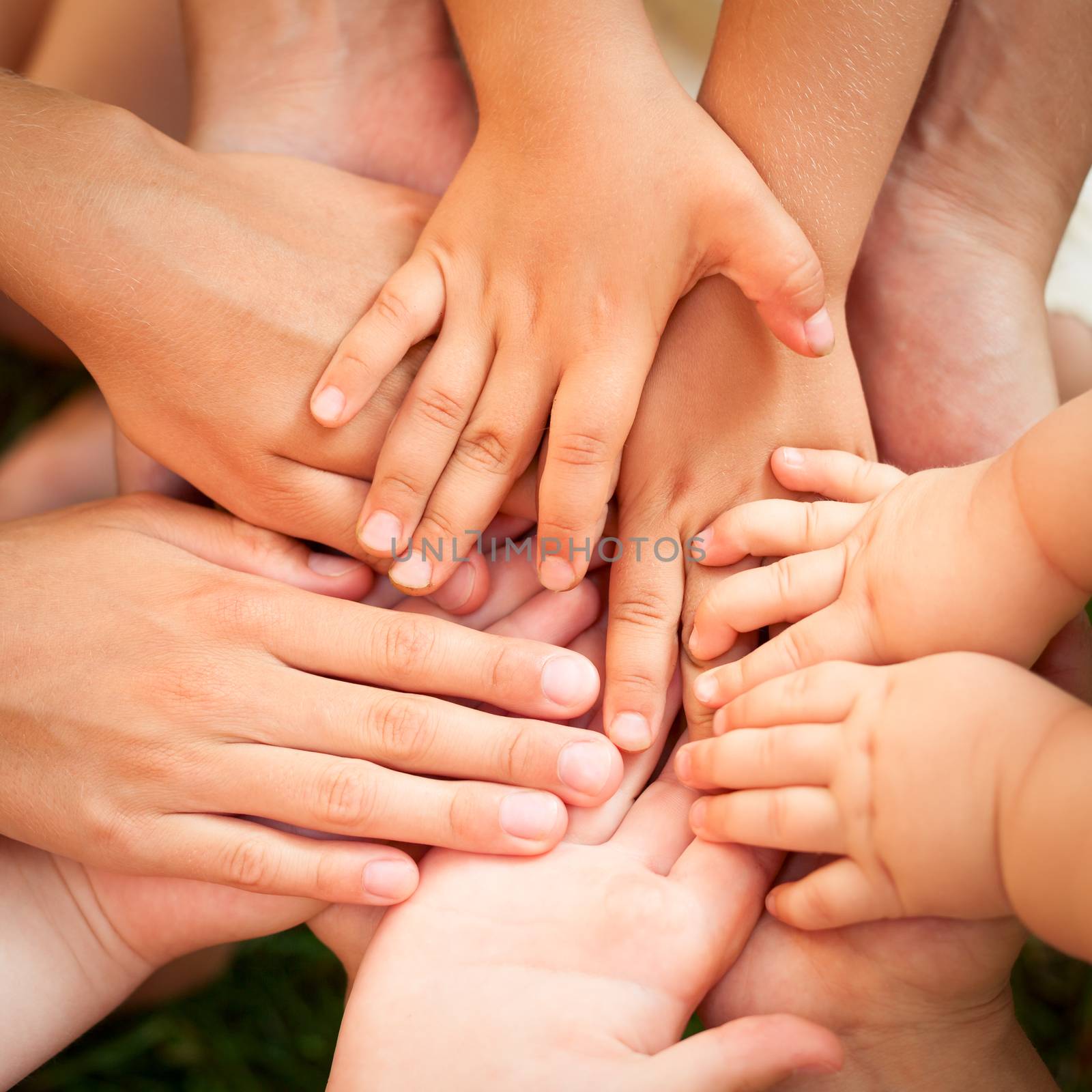 Family holding hands together closeup