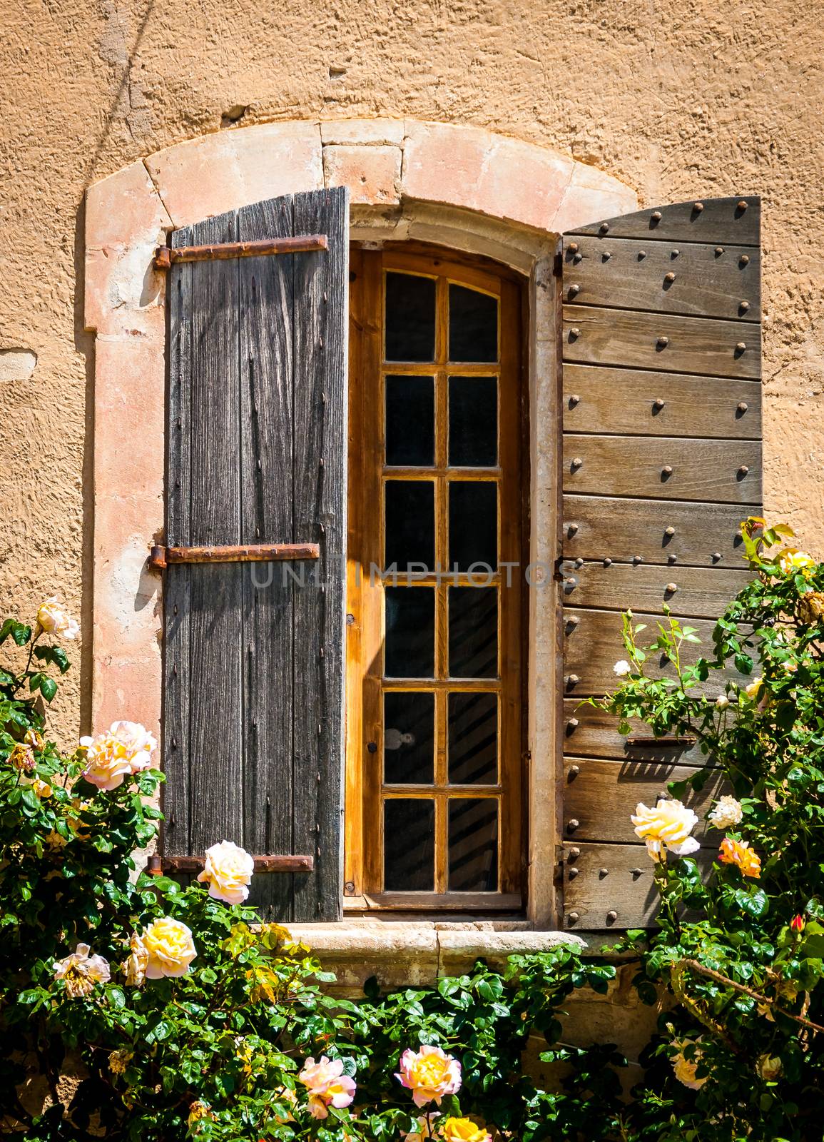 Detail of old vintage wooden window with wild roses by martinm303