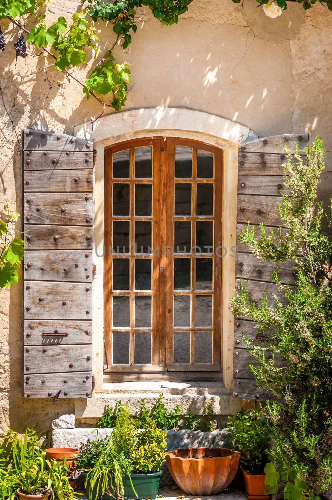 Detail of old vintage wooden window with wild roses and plants, Provence, France