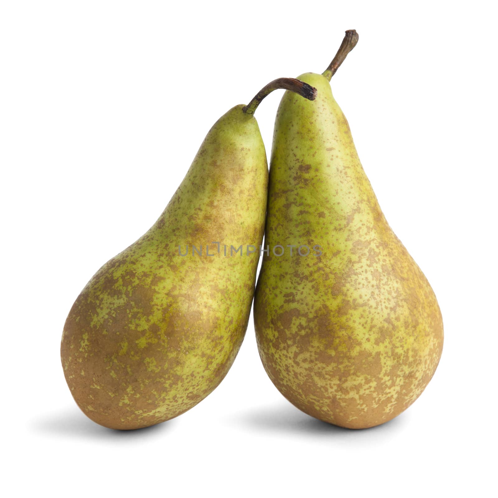 two pears by anelina