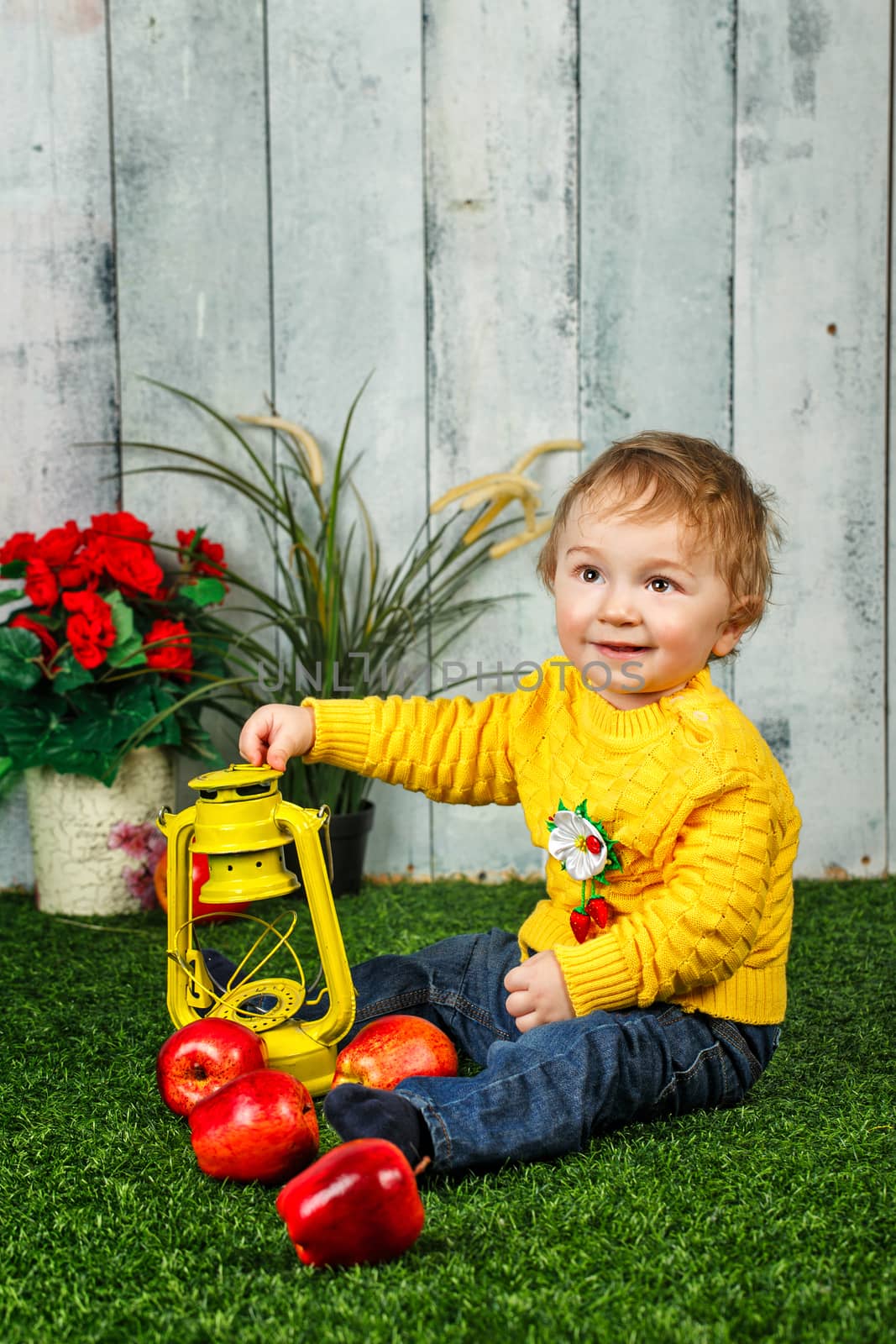 Little boy sits on a lawn in the backyard and at his feet lay ripe apples