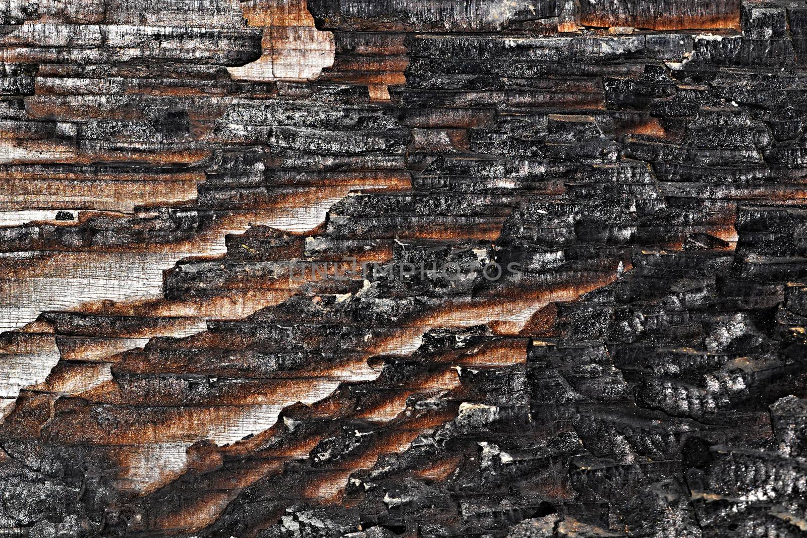 charred wood board by Ahojdoma