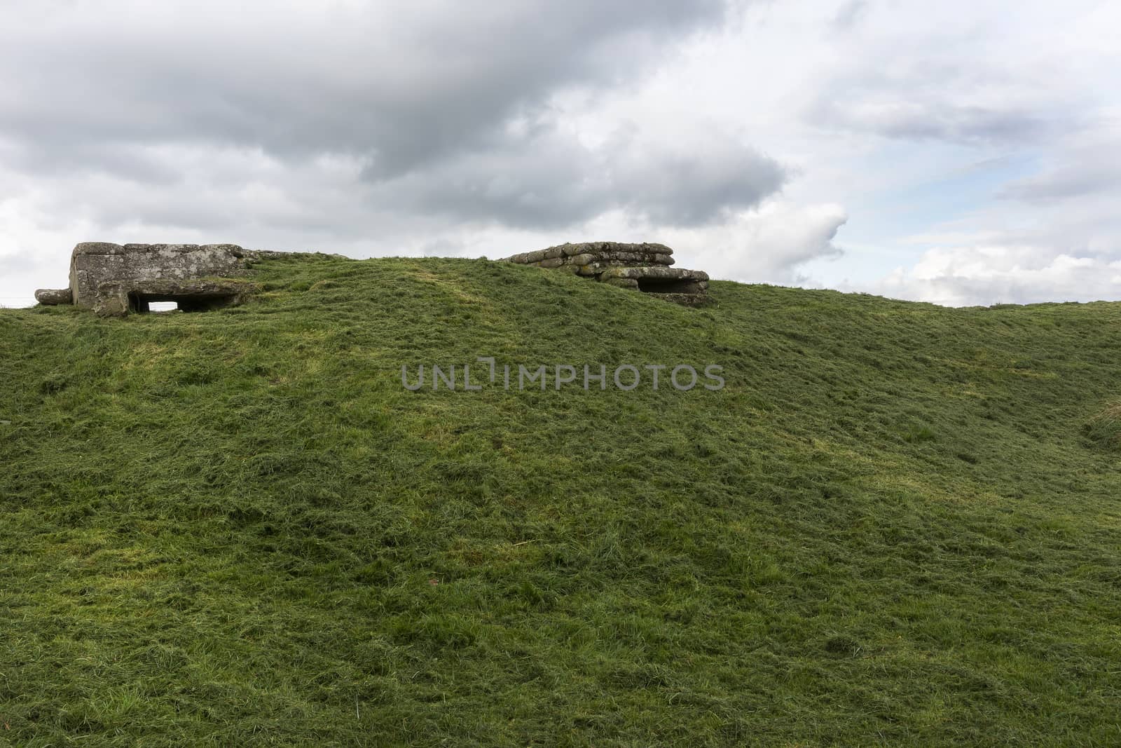 World War I bunkers near Diksmuide, Flanders, Belgium. by Claudine