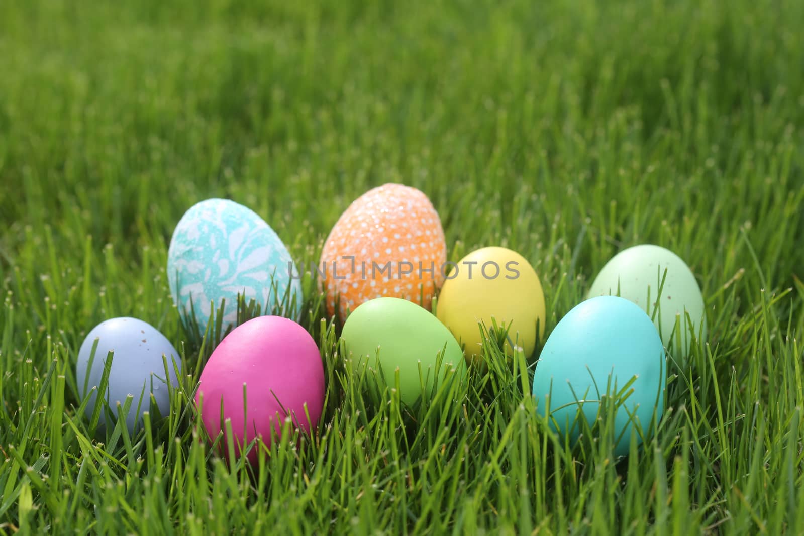 Easter Eggs Still Life With Natural Light