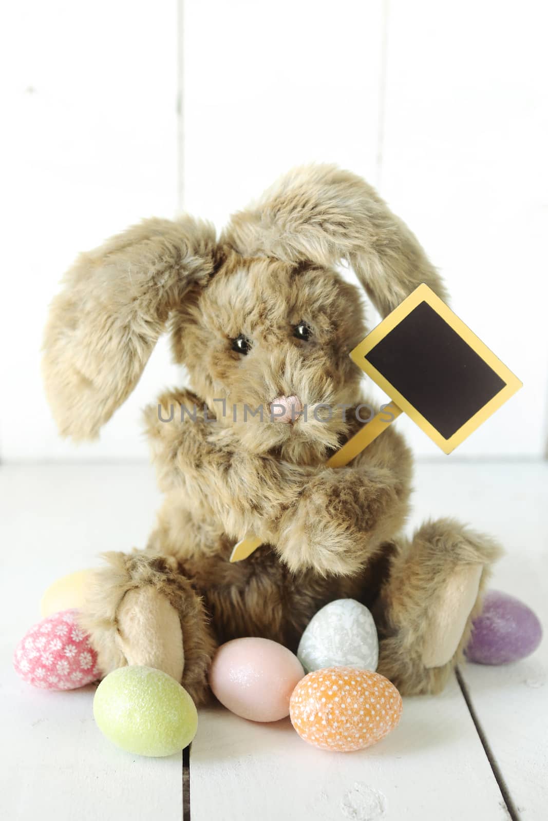 Adorable Easter Bunny Themed Holiday Occasion Image
