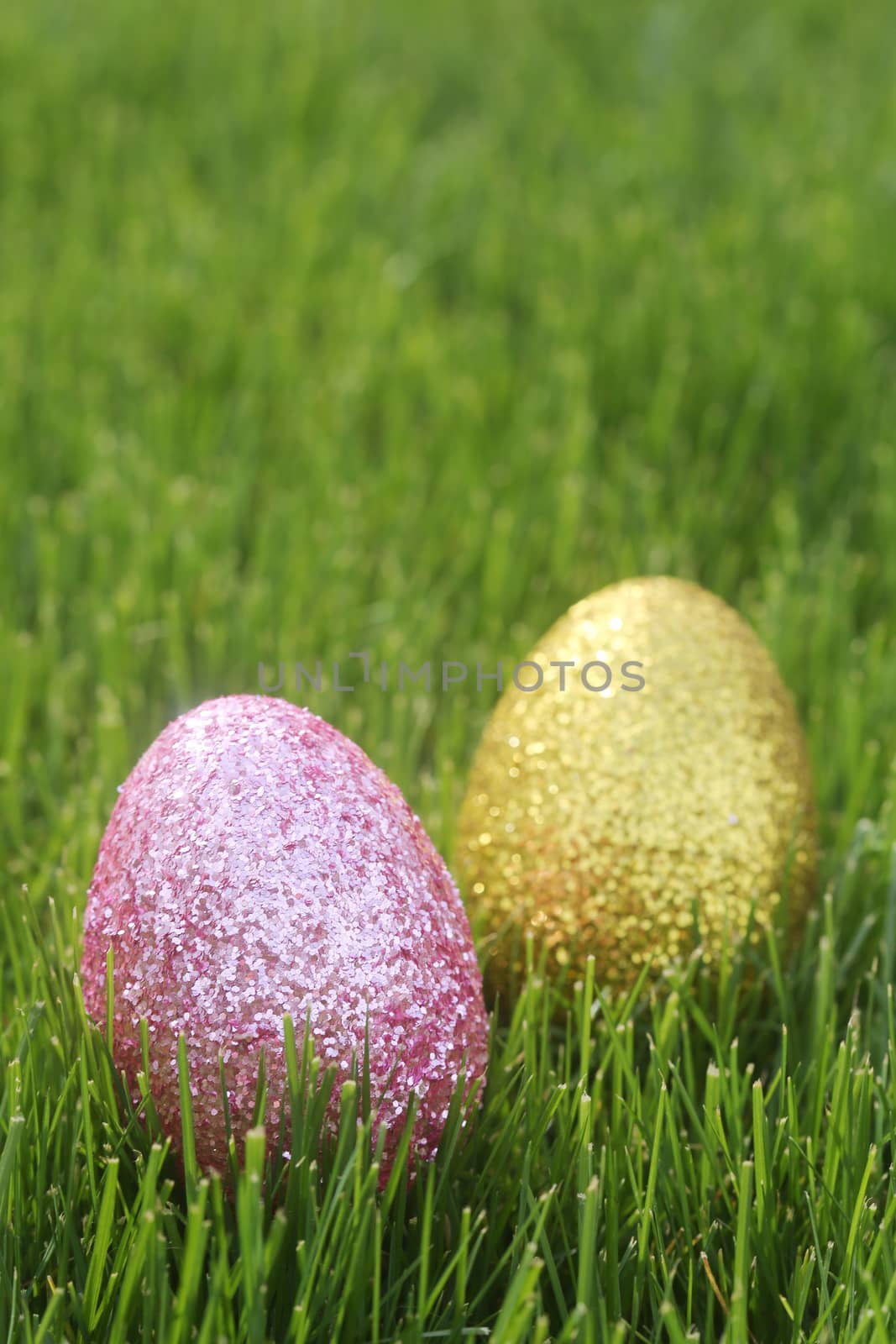 Easter Eggs Still Life With Natural Light