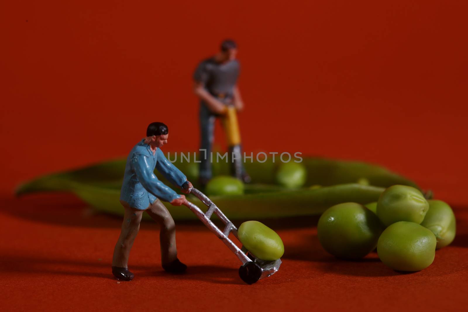 Miniature Construction Workers in Conceptual Food Imagery With Snap Peas