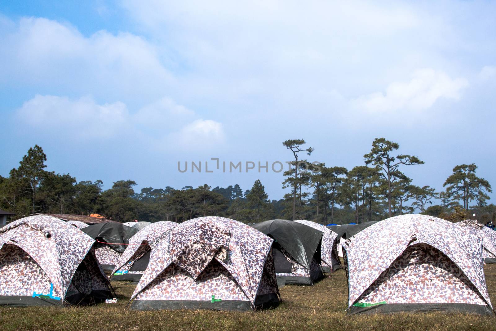 Many tents at a campsite by kannapon