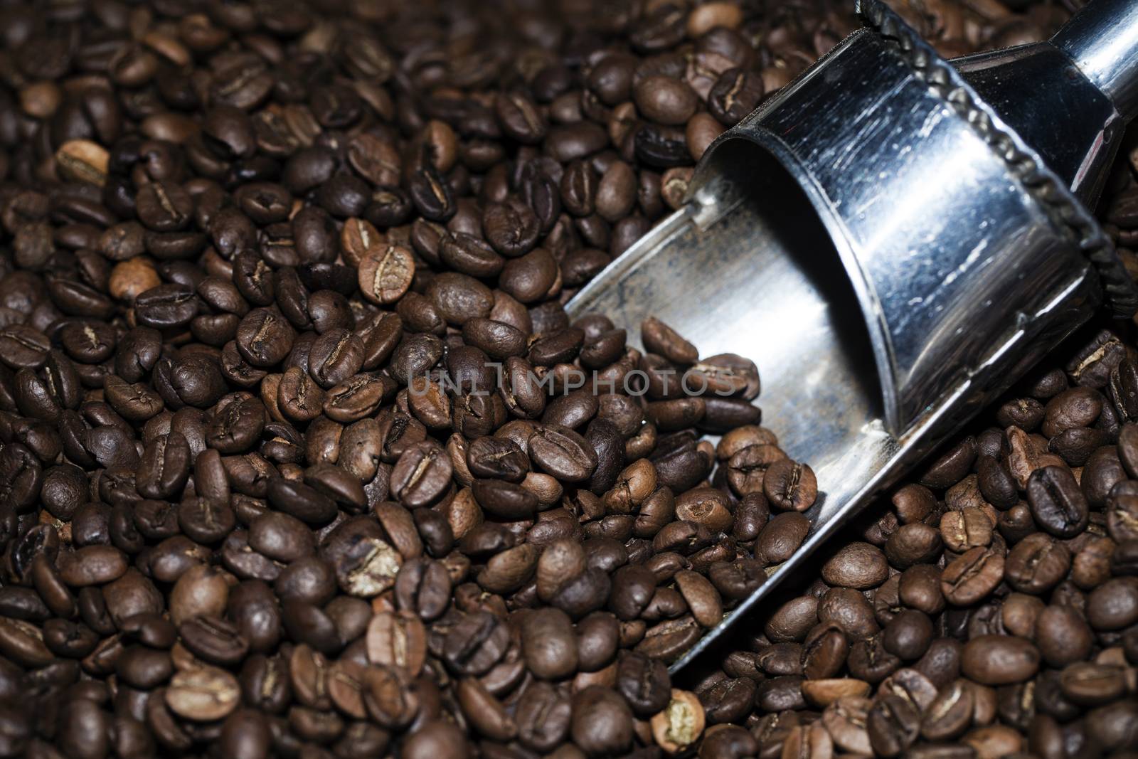 Coffee Beans