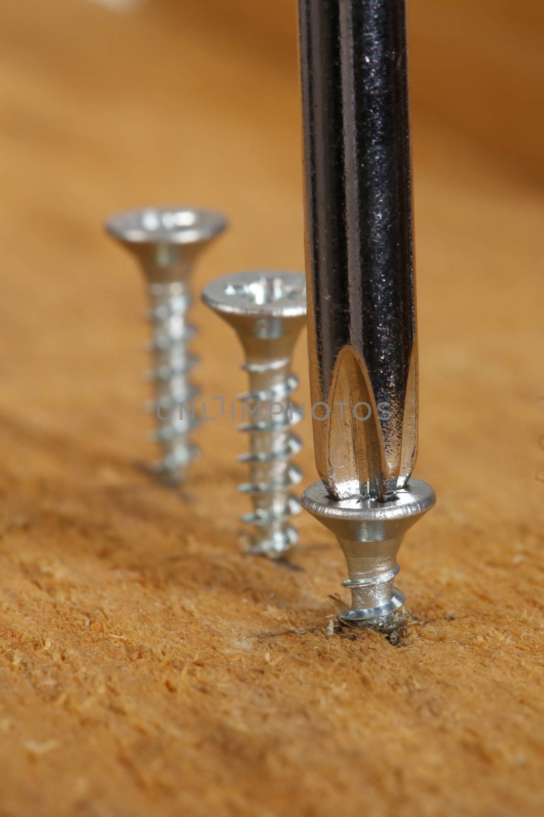 Three screws  and screwdriver close up