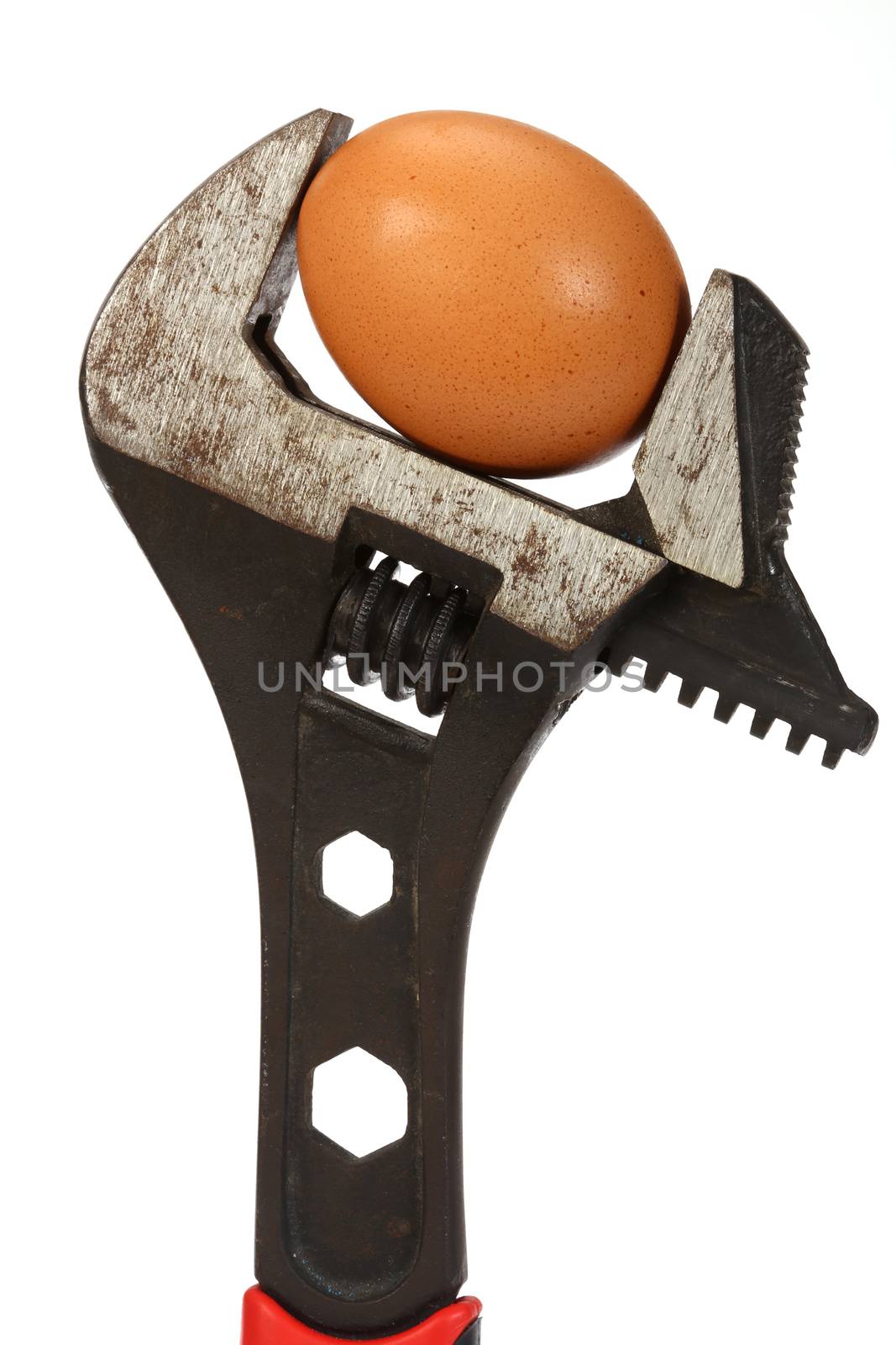 Wrench and a egg close up over white