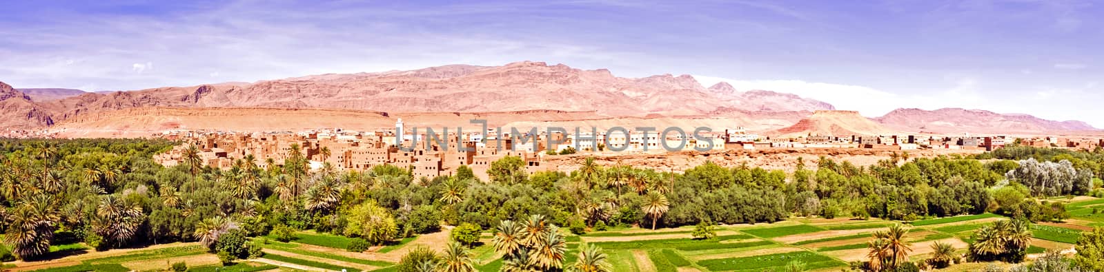 Oasis in the desert in Morocco