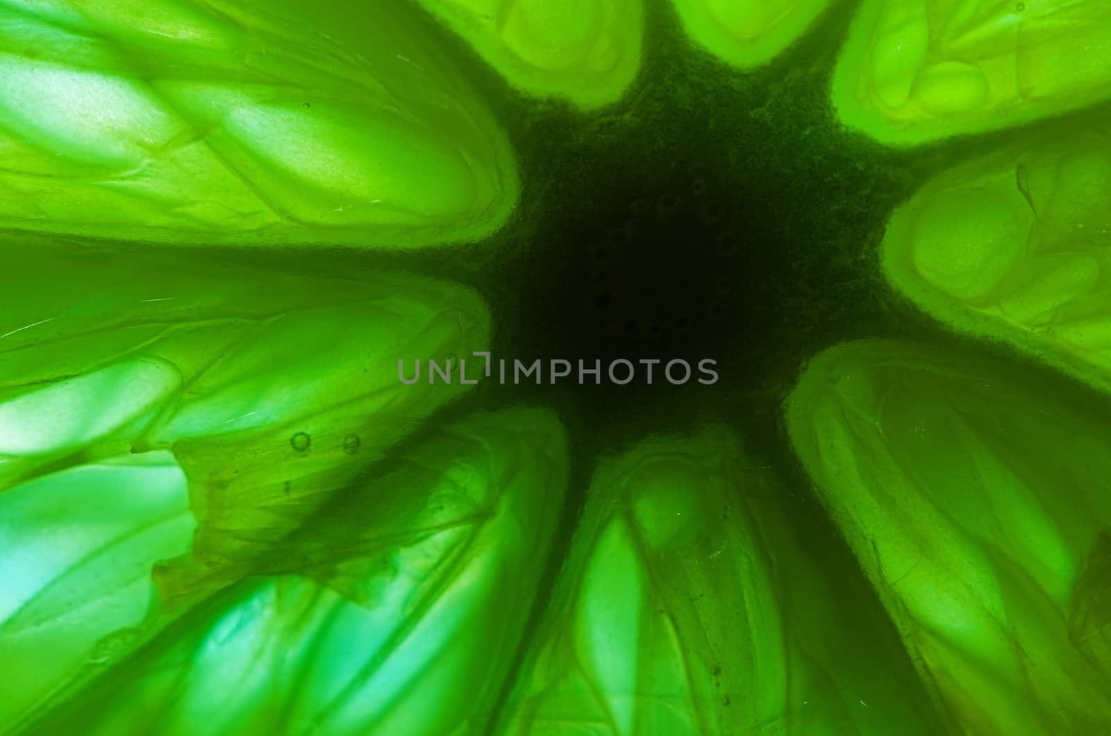 piece of orange in green backlight, abstract background