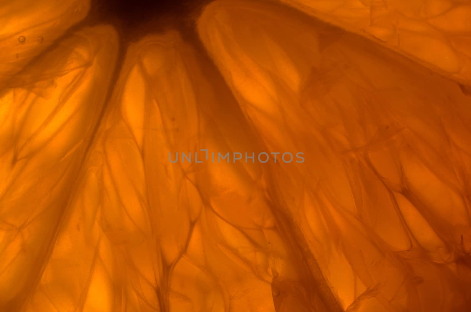 piece of orange in backlight, abstract background