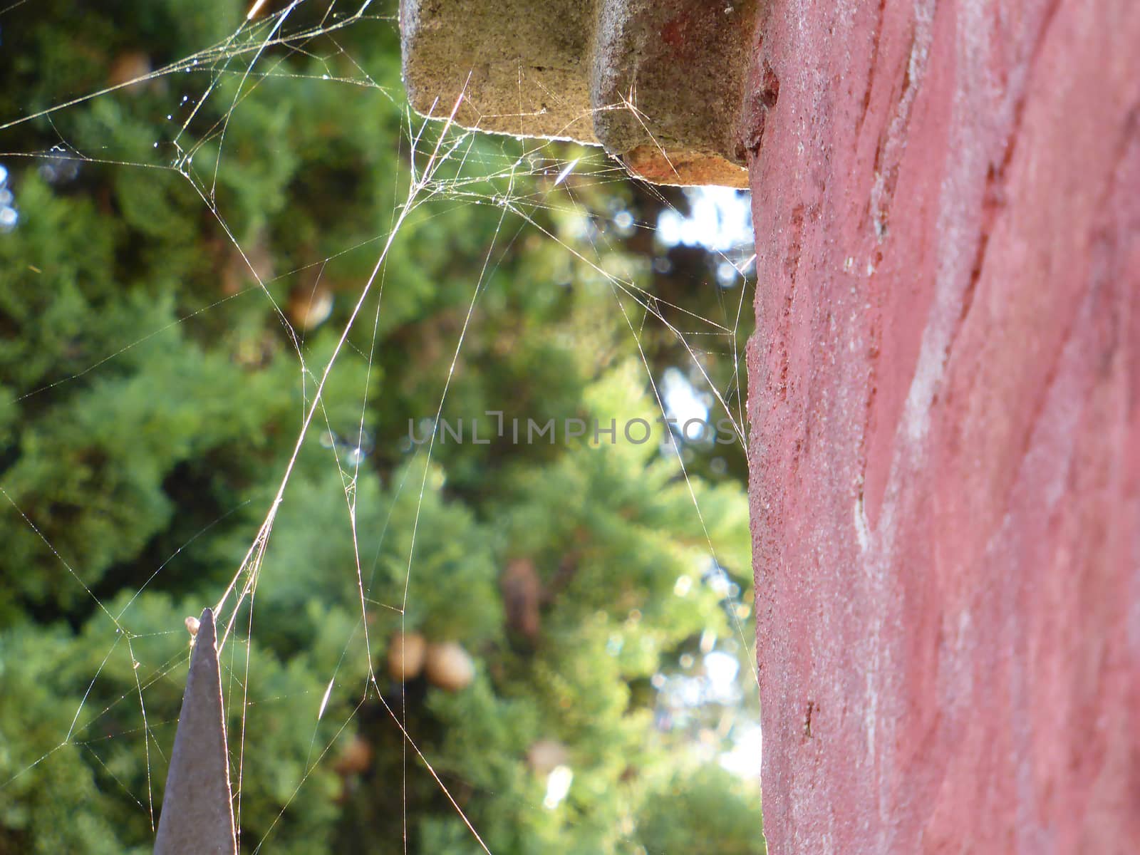 Spiderweb between iron cape and old wall in the sunlight