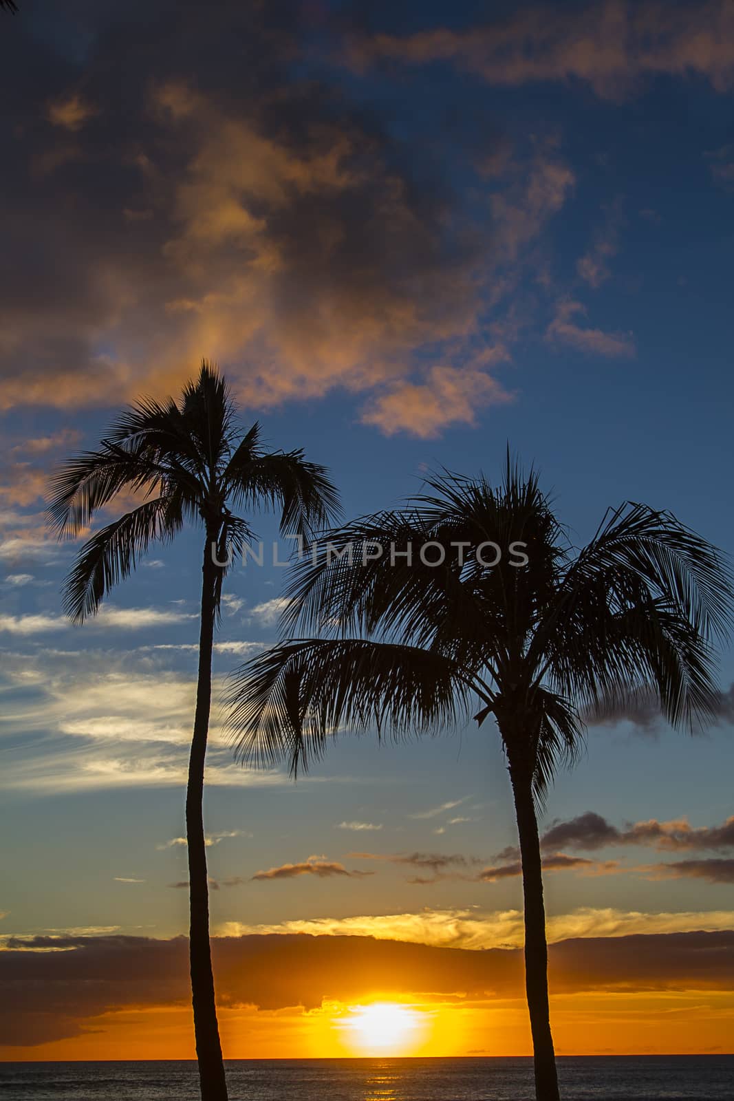 Tropic sunset by mypstudio