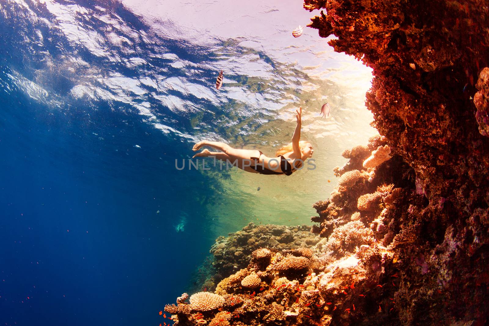 girl and corals in the sea by vsurkov