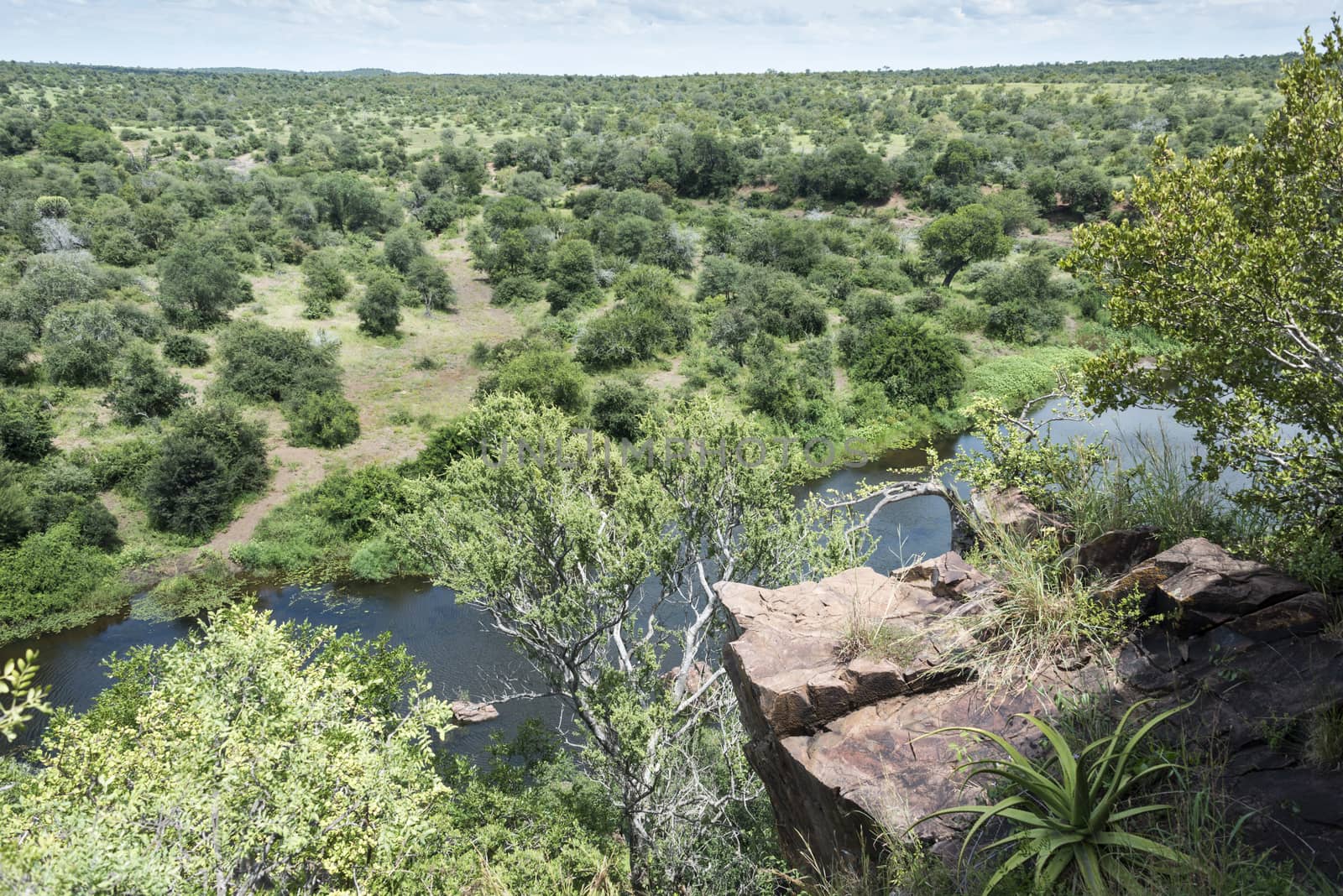 view from high viewpost over kruger national park south africa 