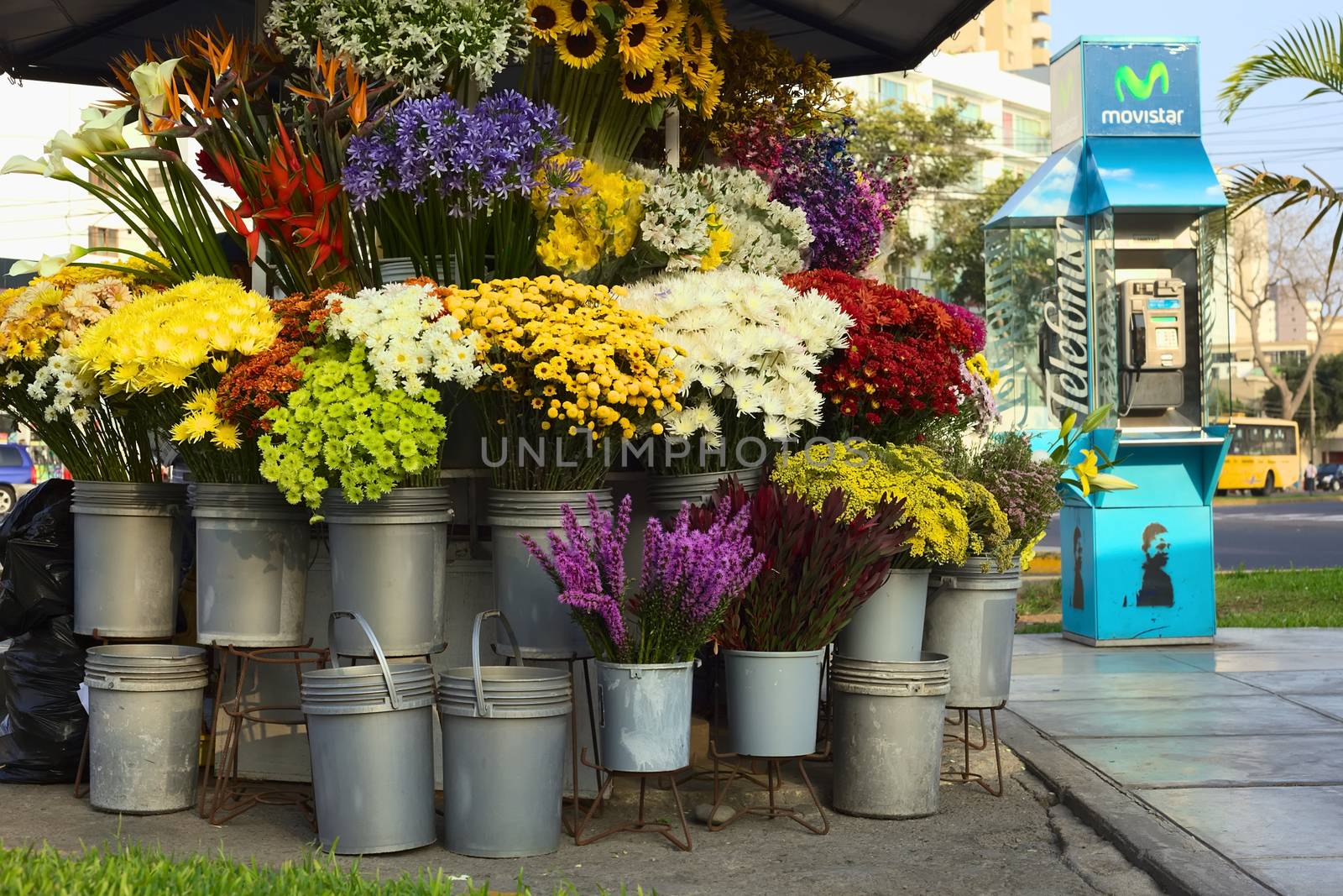 LIMA, PERU - MAY 7, 2012: Flower stand and public phone booth at the corner of the avenues Reducto and 28 de Julio in the district of Miraflores on May 7, 2012 in Lima, Peru.