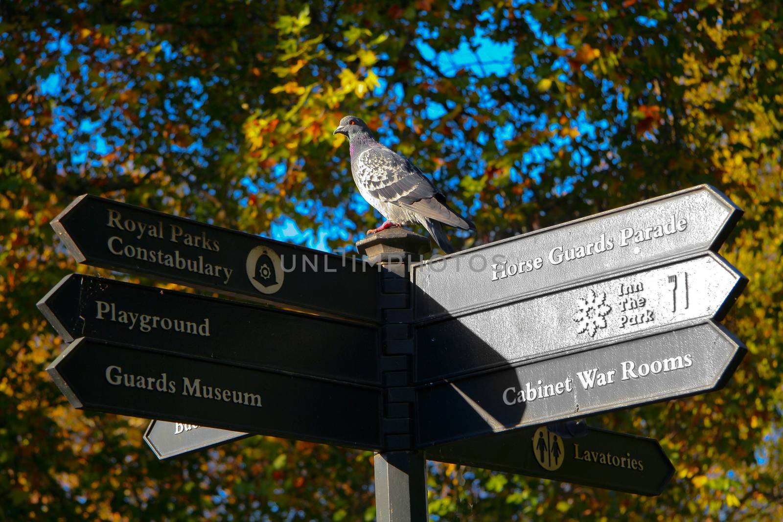 Low angle view of a signpost, London, England