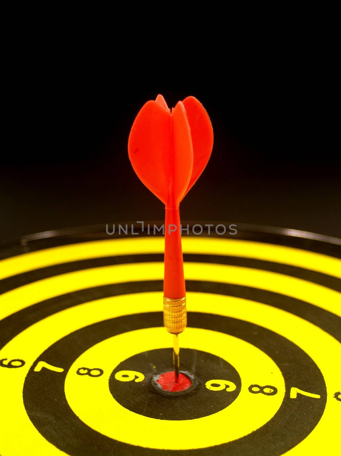 dartboard darts arrows in the target 