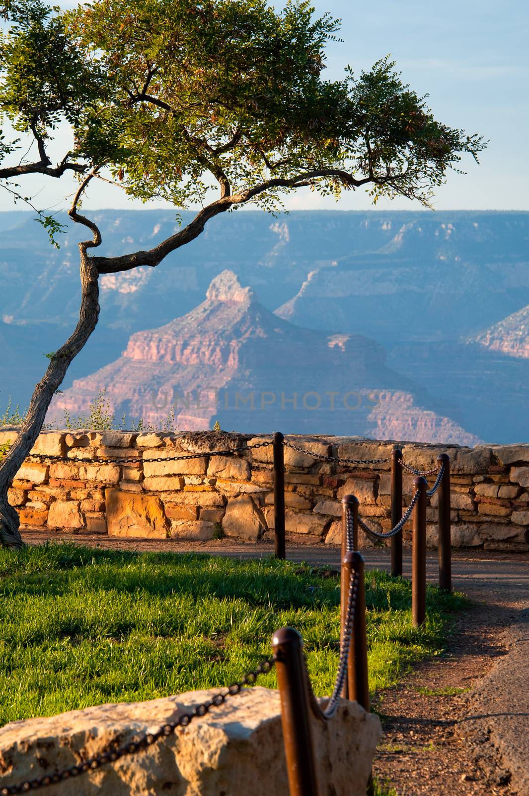 Grand Canyon viewed through from an observation point, Grand Canyon National Park, Arizona, USA