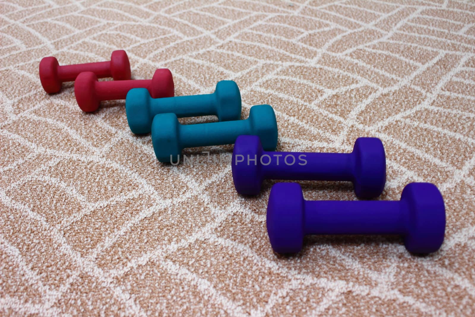 Six dumbbells lie on the carpet, ready for sports