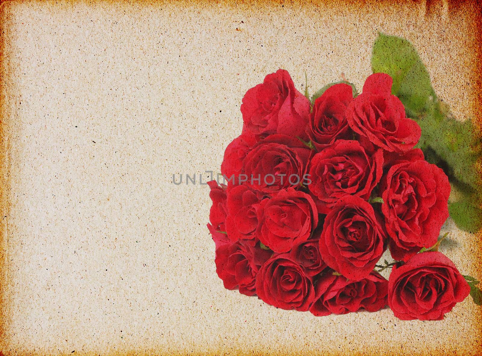 Vintage rose by wyoosumran