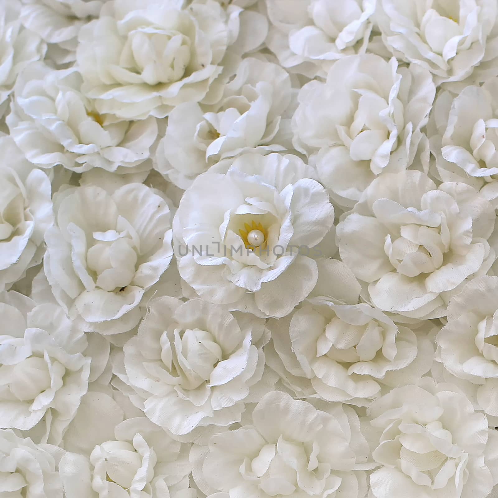 beautiful artificial white jasmine flower