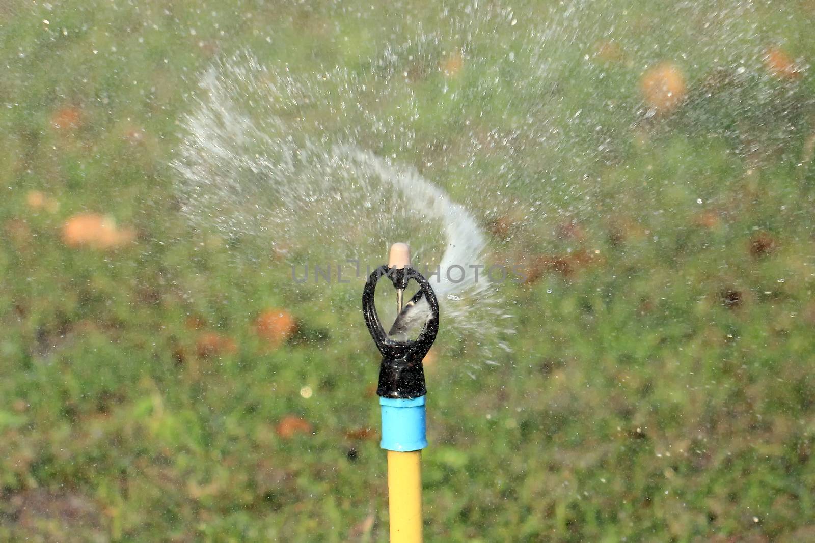 Garden irrigation system  or watering sprinkler 
