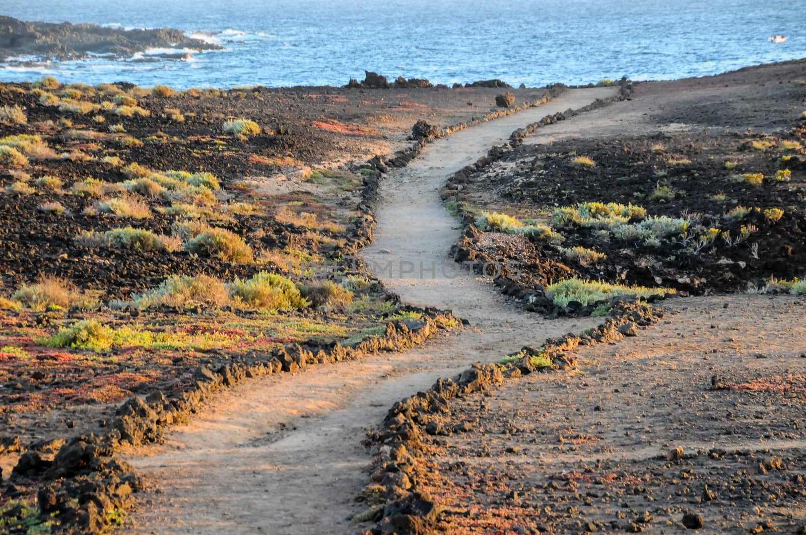 Travel Concept Background - Pathway in the Volcanic Desert Tenerife Canaty Islands Spain