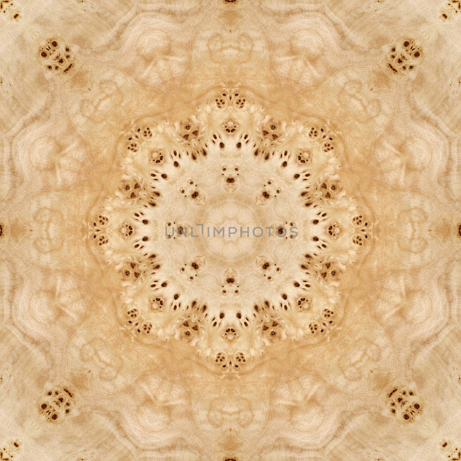 Seamless background, abstract pattern, wooden veneer poplar root